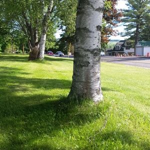 Meet your Posher, Robin